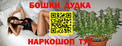 ECSTASY Будённовск