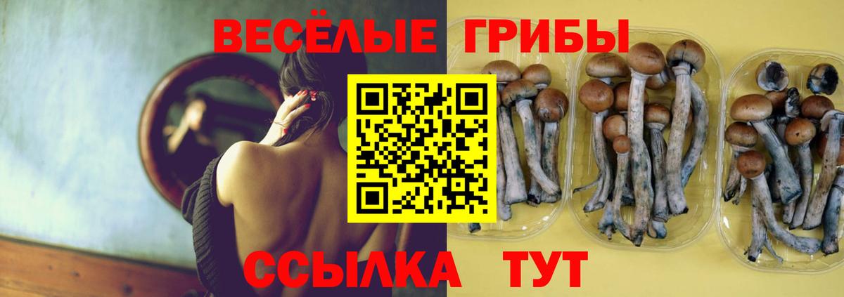 Псилоцибиновые грибы Cubensis  Галлюциногенные грибы Psilocybe  где можно купить   Улан-Удэ  Вход с VPN 